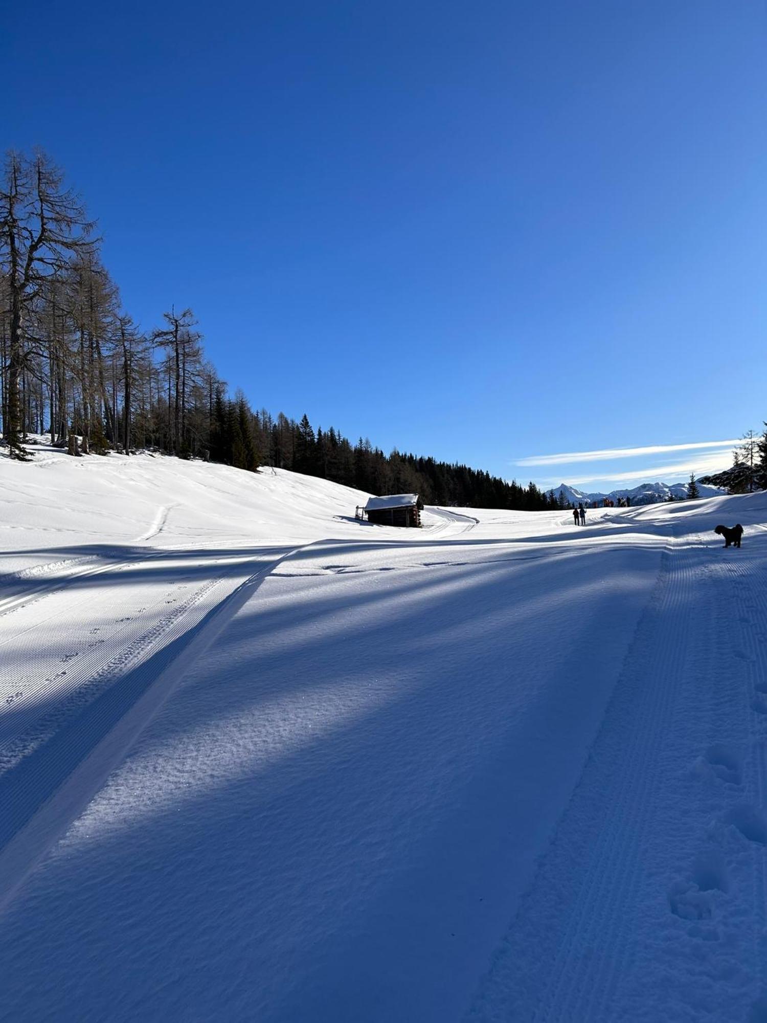 Appartementhaus Bergkristall Kartitsch Dış mekan fotoğraf